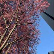 ヒメ日記 2026/03/06 05:15 投稿 こころ バッキンガム