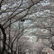 ヒメ日記 2026/04/03 21:36 投稿 こころ バッキンガム