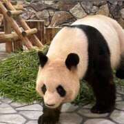 ヒメ日記 2025/06/28 10:43 投稿 志乃 バッキンガム