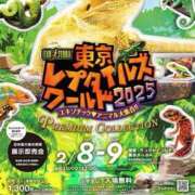 ヒメ日記 2025/02/11 21:01 投稿 花菜子 バッキンガム