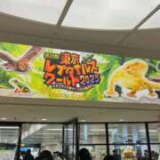 ヒメ日記 2025/02/12 21:25 投稿 花菜子 バッキンガム