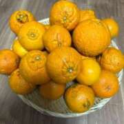 ヒメ日記 2025/02/27 21:05 投稿 花菜子 バッキンガム