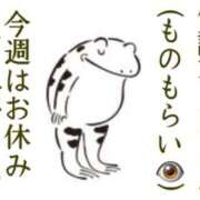 ヒメ日記 2026/04/09 07:51 投稿 花菜子 バッキンガム