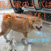 ヒメ日記 2026/08/02 16:43 投稿 花菜子 バッキンガム