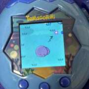 ヒメ日記 2025/10/13 00:02 投稿 ルル Grace東京