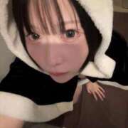 ルル るるが髪をボブにする時は、、( 'ω') Grace東京