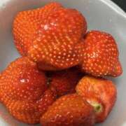 ヒメ日記 2026/02/20 04:37 投稿 ルル Grace東京