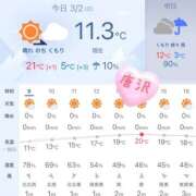 ヒメ日記 2025/03/02 09:57 投稿 唐沢 あなたに逢いたくて