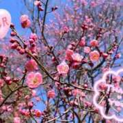 ヒメ日記 2025/03/02 19:17 投稿 唐沢 あなたに逢いたくて