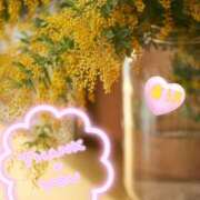 ヒメ日記 2025/03/16 19:07 投稿 唐沢 あなたに逢いたくて