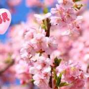 ヒメ日記 2025/03/20 09:57 投稿 唐沢 あなたに逢いたくて