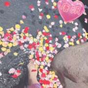 ヒメ日記 2025/06/29 12:17 投稿 唐沢 あなたに逢いたくて