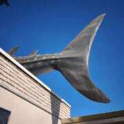 ヒメ日記 2025/11/30 07:35 投稿 まいか 人妻倶楽部内緒の関係 春日部店