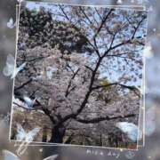 ヒメ日記 2026/03/31 19:55 投稿 まいか 人妻倶楽部内緒の関係 春日部店