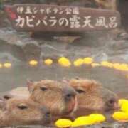 ヒメ日記 2025/01/27 01:01 投稿 とあ One More奥様 大宮店