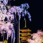 ヒメ日記 2025/04/12 05:20 投稿 とあ One More奥様 大宮店