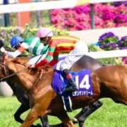 ヒメ日記 2025/05/04 16:20 投稿 とあ One More奥様 大宮店