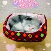 ヒメ日記 2025/05/06 02:33 投稿 とあ One More奥様 大宮店