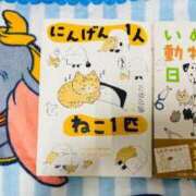 ヒメ日記 2025/07/09 19:10 投稿 とあ One More奥様 大宮店