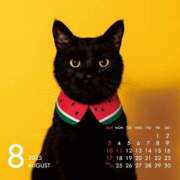 ヒメ日記 2025/08/09 07:20 投稿 とあ One More奥様 大宮店