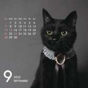 ヒメ日記 2025/09/01 23:50 投稿 とあ One More奥様 大宮店