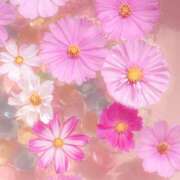 ヒメ日記 2025/09/11 08:50 投稿 とあ One More奥様 大宮店