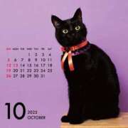 ヒメ日記 2025/10/06 02:20 投稿 とあ One More奥様 大宮店