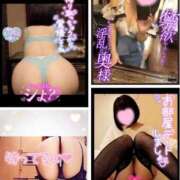 ヒメ日記 2025/11/05 18:20 投稿 とあ One More奥様 大宮店