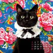 ヒメ日記 2026/04/04 00:43 投稿 とあ One More奥様 大宮店