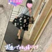 ヒメ日記 2026/04/12 16:50 投稿 とあ One More奥様 大宮店