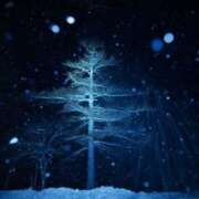 ヒメ日記 2024/12/14 17:39 投稿 さら Wonder7 (ワンダー7)