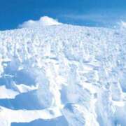 ヒメ日記 2024/12/15 12:07 投稿 さら Wonder7 (ワンダー7)