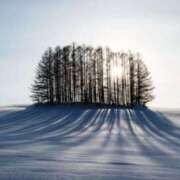 ヒメ日記 2024/12/17 16:31 投稿 さら Wonder7 (ワンダー7)