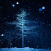 ヒメ日記 2025/01/24 15:55 投稿 さら Wonder7 (ワンダー7)