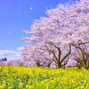 ヒメ日記 2025/03/21 15:32 投稿 さら Wonder7 (ワンダー7)