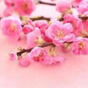 ヒメ日記 2025/03/22 18:21 投稿 さら Wonder7 (ワンダー7)