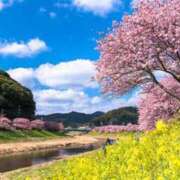 ヒメ日記 2025/03/28 15:58 投稿 さら Wonder7 (ワンダー7)