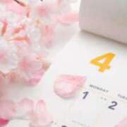 ヒメ日記 2025/04/07 17:18 投稿 さら Wonder7 (ワンダー7)