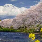 ヒメ日記 2025/04/08 17:16 投稿 さら Wonder7 (ワンダー7)