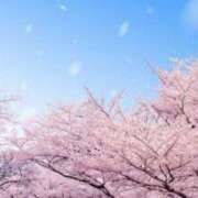 ヒメ日記 2025/04/09 18:06 投稿 さら Wonder7 (ワンダー7)