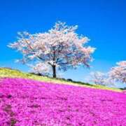 ヒメ日記 2025/04/10 17:26 投稿 さら Wonder7 (ワンダー7)