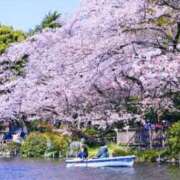 ヒメ日記 2025/04/14 17:24 投稿 さら Wonder7 (ワンダー7)