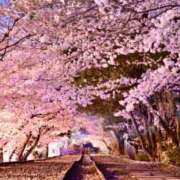 ヒメ日記 2025/04/16 15:32 投稿 さら Wonder7 (ワンダー7)