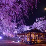 ヒメ日記 2025/04/18 17:32 投稿 さら Wonder7 (ワンダー7)