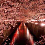 ヒメ日記 2025/04/19 16:06 投稿 さら Wonder7 (ワンダー7)