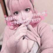 ヒメ日記 2025/11/14 20:32 投稿 むむ IRIS(岐阜)