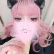 ヒメ日記 2025/11/26 19:45 投稿 むむ IRIS(岐阜)