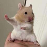 ヒメ日記 2026/03/11 20:15 投稿 むむ IRIS(岐阜)