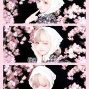 ヒメ日記 2026/03/20 19:55 投稿 むむ IRIS(岐阜)