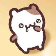 ヒメ日記 2026/03/30 20:49 投稿 むむ IRIS(岐阜)